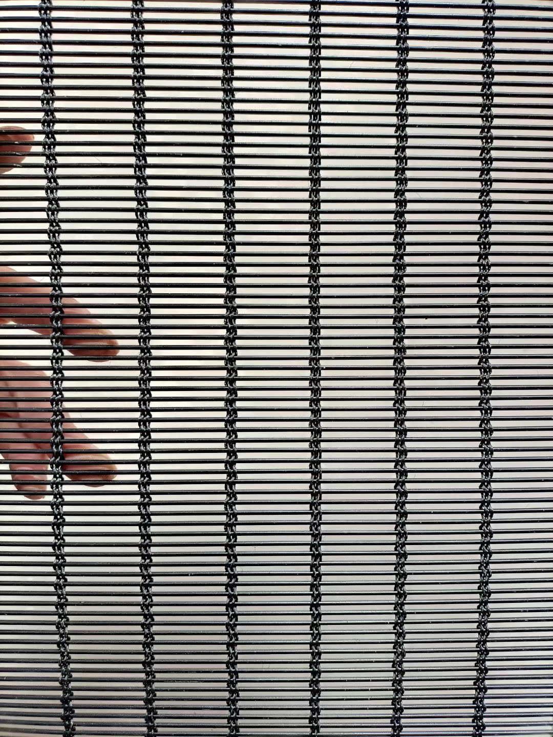 1636550292179256.jpg